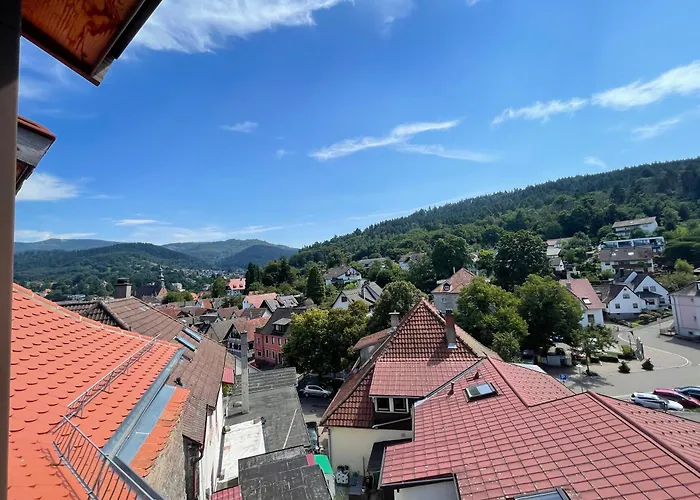 Altes Forstamt Appartement